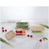 USHA SHRIRAM Borosilicate Food Container + Insulated Steel Bottle | Bamboo Lid | Microwave Safe