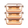 UMAI Pack of 3 Borosilicate Containers | 600ml Each | Airvent Lid | Amber | Fridge Storage