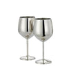 Hazel Stainless Steel Goblet Wine Glass Gin Goblets Glass for bar 250 ml Set of 2 Silver