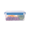 Anko 2.3L BPA-Free Plastic Lunch Box | Airtight | Lockable Lid | Leak-Proof | Kitchen Travel School