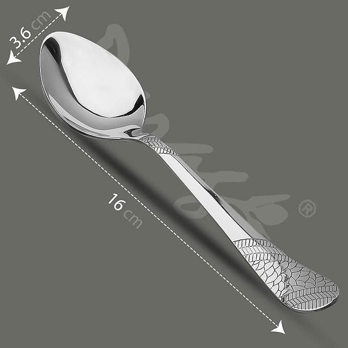 Parage 6 Pieces Stainless Steel Spoons Set 6 Dinner Spoons 16 cm