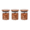 Femora Borosilicate Glass Jar With Golden Metallic Lid, Jars for Kitchen Storage | 600 Ml | Set of 3