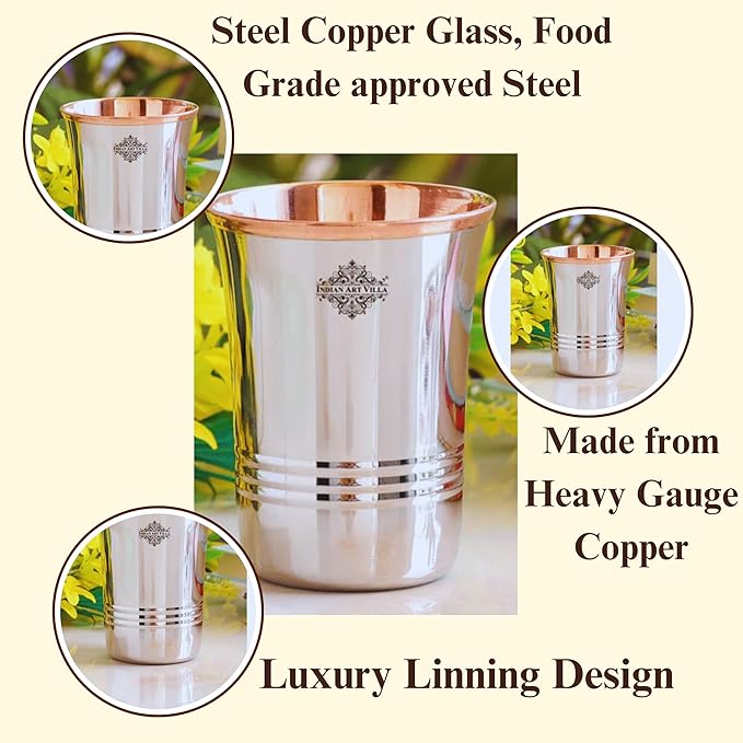 Indian Art Villa Steel Copper Glass Tumbler Set Silver and Brown (Pack of 2)