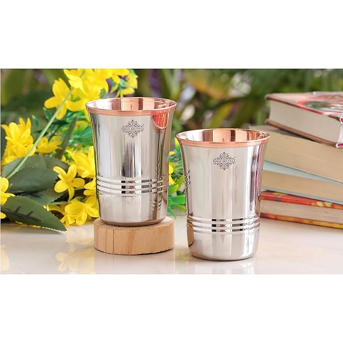 Indian Art Villa Steel Copper Glass Tumbler Set Silver and Brown (Pack of 2)