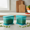 Tupperware Freezer Mates Gen I Mini 300ml Set of 2 | Freezer-Safe Airtight