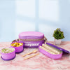 Nayasa Duplex Deluxe Lunch Box with Soft Insulated Bag and Steel Tiffin