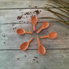 Zishta Neem Wood Broad Spoons Set of 6