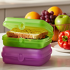 Tupperware Sandwich Keeper (Set of 4) | Airtight Lunch Containers | BPA Free