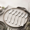 FnS Antico 6 Pcs Dessert Spoon Set Premium Classic Elegance Handle