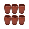 Mitti Cool Clay Glazed Glass Set 150 ml 6 piece