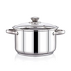 Praylady Stainless Steel with Glass Lid, Delight Series 3 Ply Base Stockpot Size 24 cm 4.9 Litre Silver