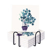UMAI Diatomite Coasters Set of 6 10cm Dining Table White Glass Cover Lid