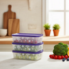 Tupperware Freezer Mate II Medium Low 1L Set of 6 Pieces