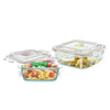 Signoraware Safe N Store Tempered Glass Container Set (520ml + 320ml)