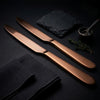 FnS Vicky Ratnani Livo Rose Gold 2 Pcs Dinner Butter Knife Set Premium Refined Finish Handle